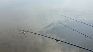 Делаем компостный ящик. Строим дачу 3. Немного о рыболовных местах Московской области.