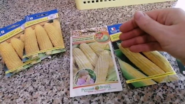 🌽Сорта кукурузы: Хони Бэнтам, Карамело, Медовый нектар, Роузи, Спирит смотреть онлайн
