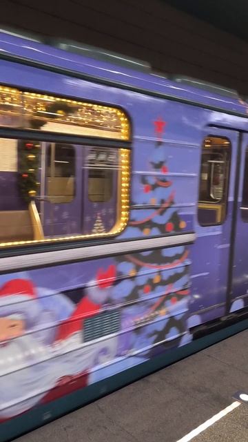 Номерной поезд Новый год 2025