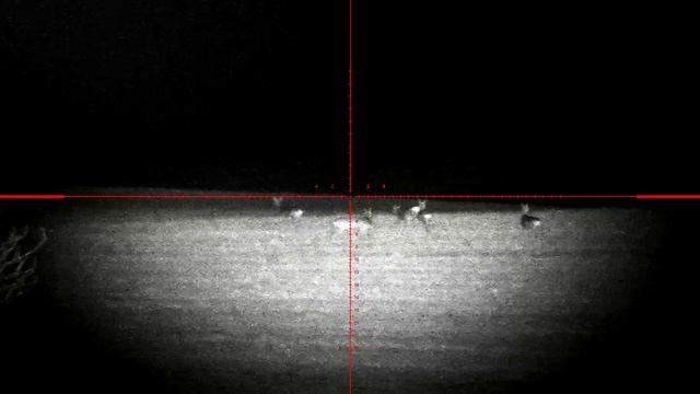 Косули в цифровой прицел Atak ES3 Tube Mini