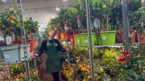 Анонс Прямого Эфира