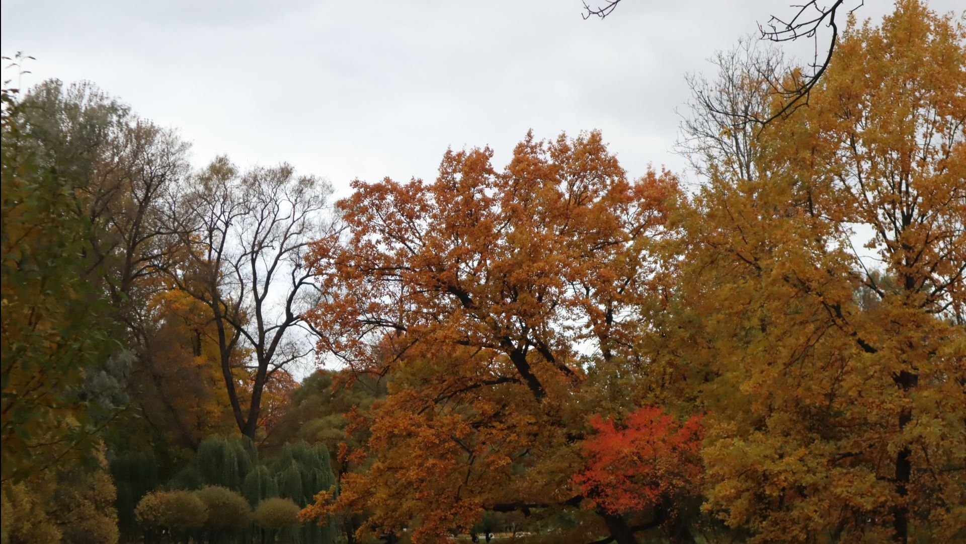 Екатерингофский парк Петербурга