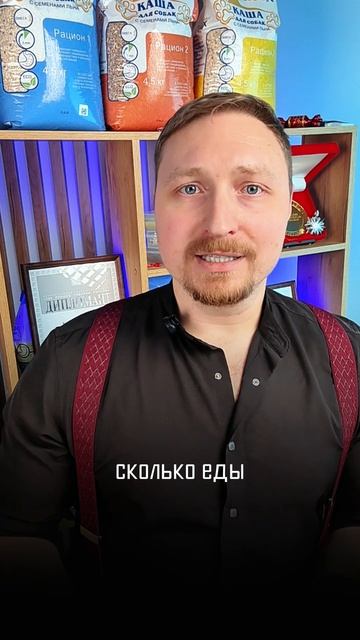 Собака на улице зимой - как помочь #собакаЗимой #уличнаяСобака #вольер #цепнаяСобака #кашаДляСобак