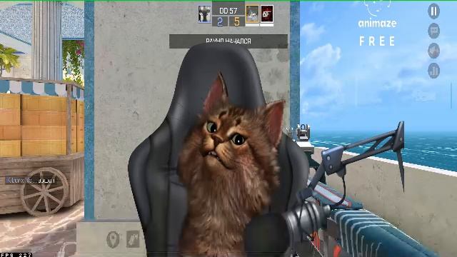 Играем в Стенд на стриме