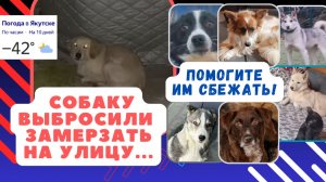 Помогите сбежать отсюда хоть единицам!