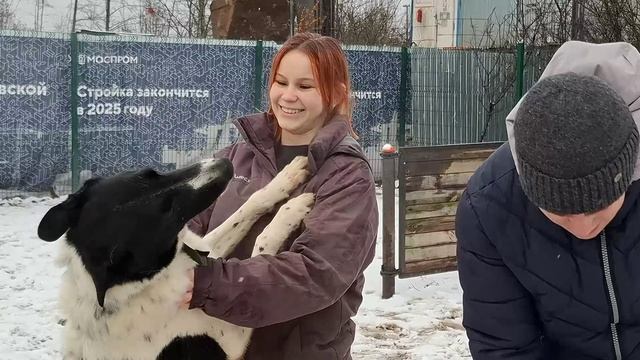 ИП_Зверята смотреть онлайн