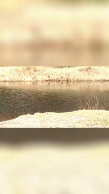 Архив за 2019 г. (14) #природа#жизнь