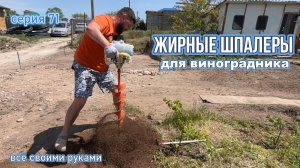 Шпалеры для винограда