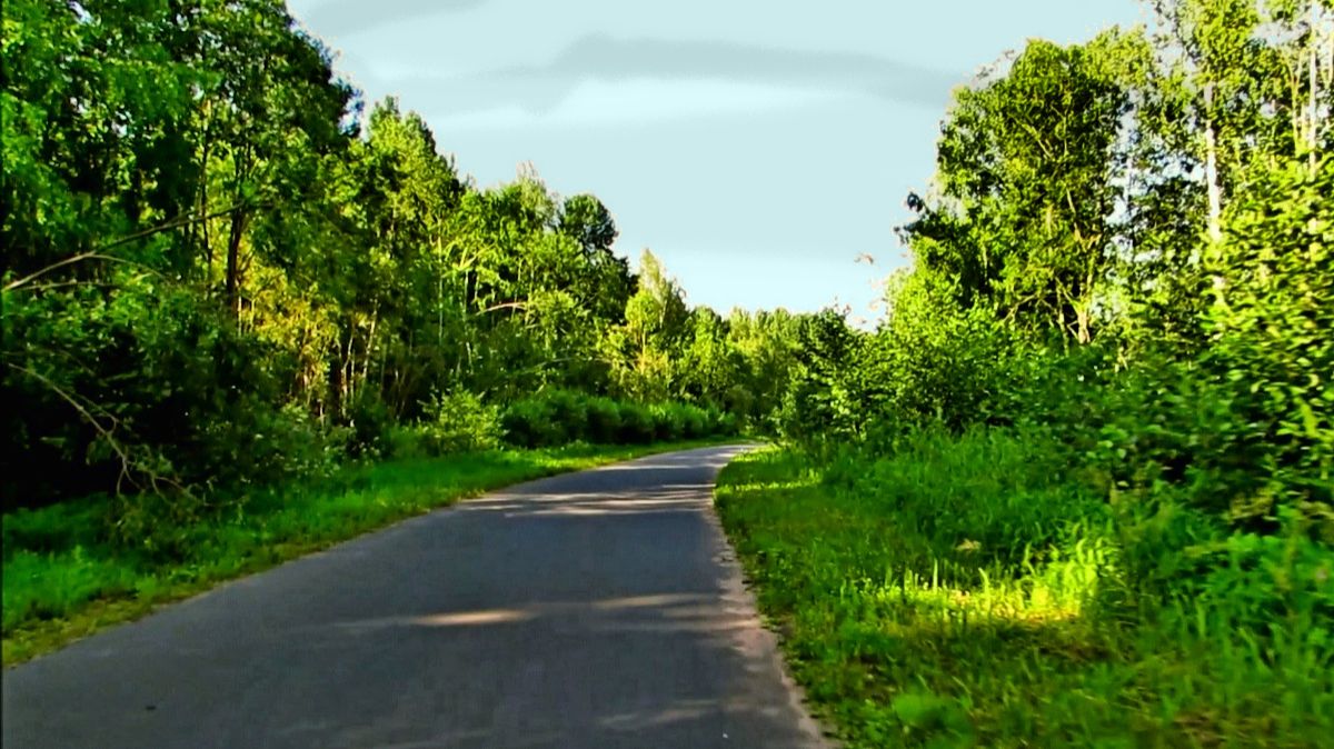 Велопрогулка смотреть онлайн