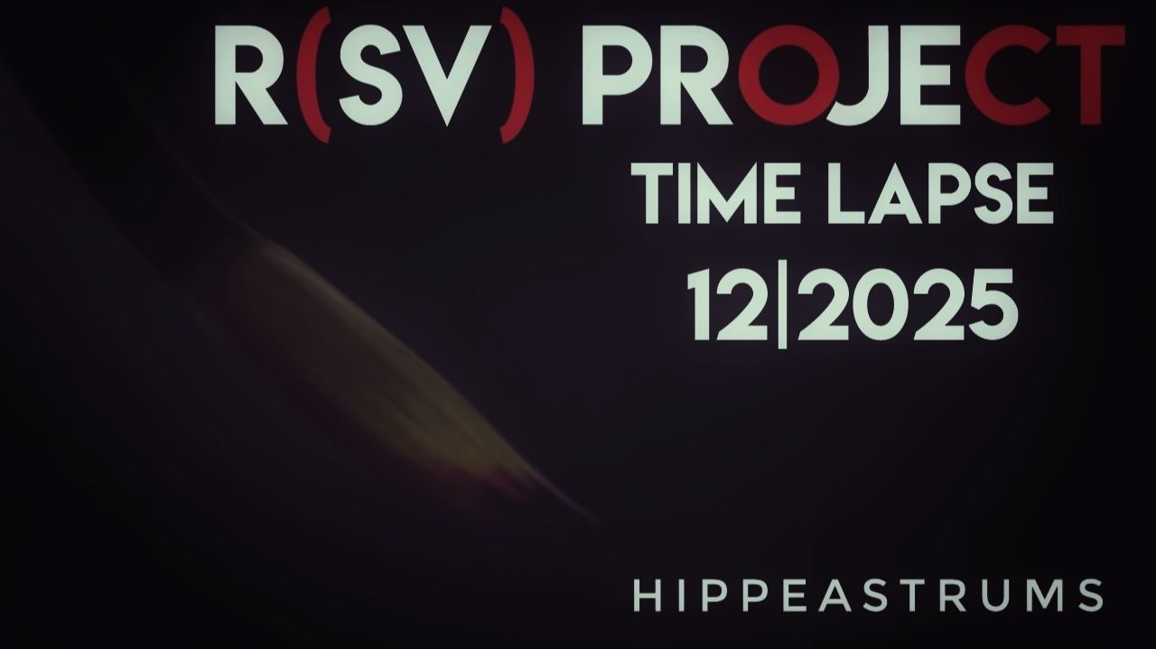 HIPPEASTRUMS Time Lapse | 12/2025