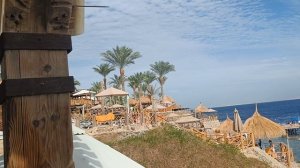 PICKALBATROS LUXURY  AND SUITES HOTEL 5. ШАРМ ЭЛЬ ШЕЙХ.3 ДЕКАБРЯ 2025.