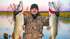 ЩУКИ МОНСТРЫ РВУТ ЖЕРЛИЦЫ! Зимняя рыбалка