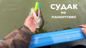 Ловлю судаков с паноптиксом , отвечаю на вопросы с прошлых видео.