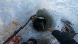 Рыбалка на реке. Проверка перемётов на Енисее.