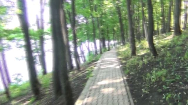 Макаровский Иоанно Богословский монастырь 2016 Reverse Video и ускоренное видео #106 смотреть онлайн
