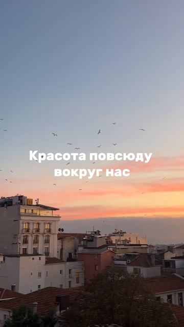 Красота вокруг нас | Ссылка на полезный ТГК в шапке профиля смотреть онлайн