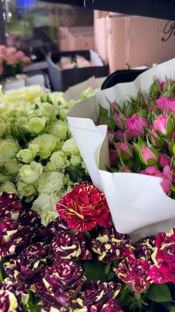 homepro-2 смотреть онлайн