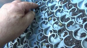 По тихому мою Золото в реке минишлюзом!