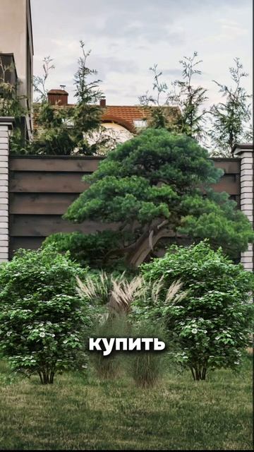 Бюджетная клумба, которая выглядит на миллион!  Сохраняйте и отправляйте  друзьям! ✨ #ландшафт