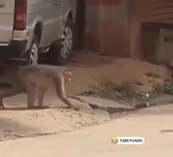 На опыте😁 смотреть онлайн