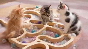 РАЗВЛЕКАТЕЛЬНОЕ ВИДЕО ДЛЯ ДЕТЕЙ