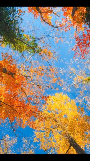 #shorts #жизненные истории #рассказы # аудио рассказы смотреть онлайн