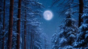 НАД ЗЕМЛЁЮ НОЧЬ ПОВИСЛА