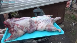 Мясо нутрии на заказ продажа и цена