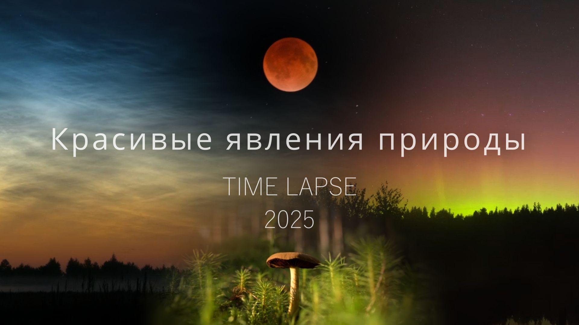 Красота нашей природы. Серебристые облака, полярное сияние, лунное затмение | TimeLapse 2025 смотреть онлайн