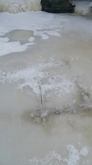 Зимний Ратан и живец на хищника!!!