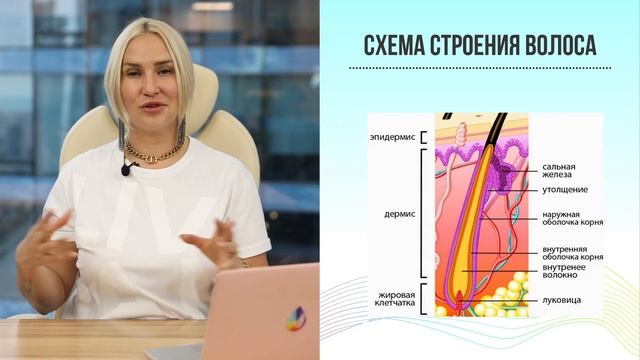 Color Basic. Урок 1. Структура волос смотреть онлайн