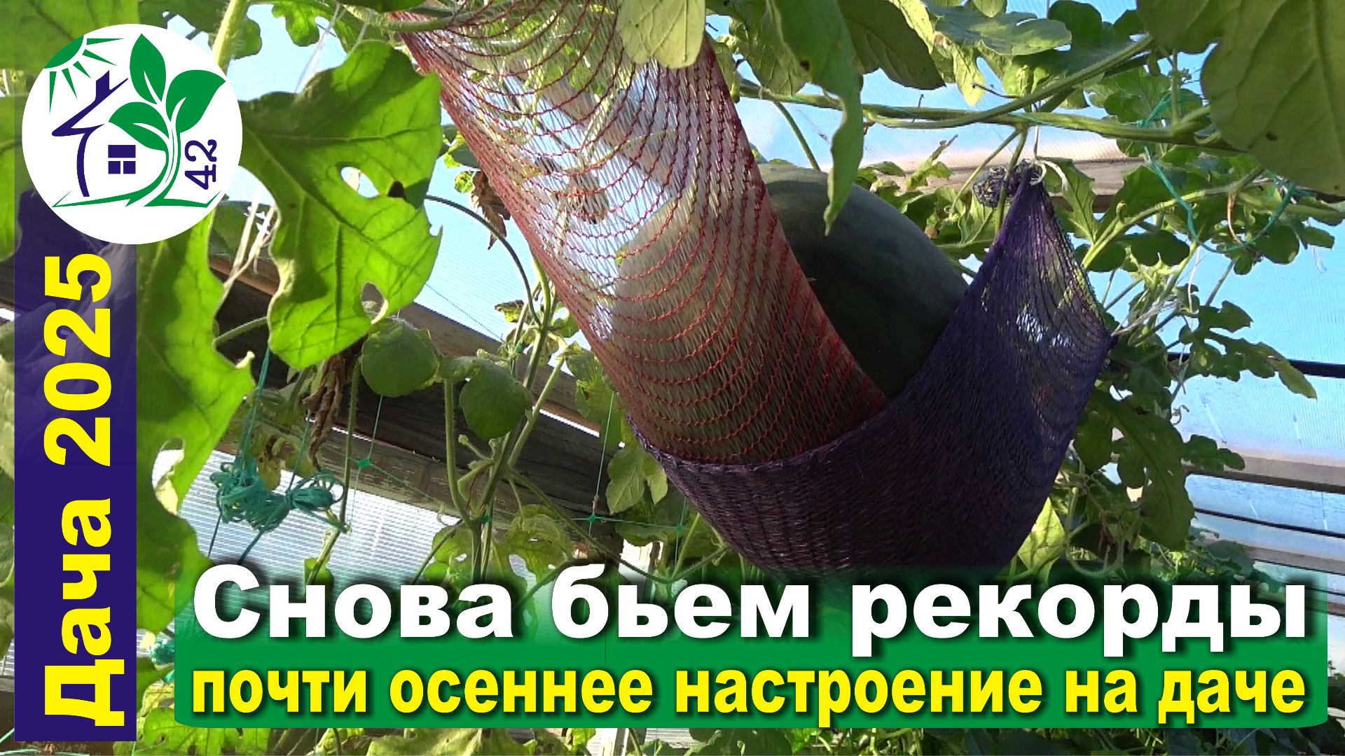 Снова бьем рекорды! Почти осеннее настроение на даче