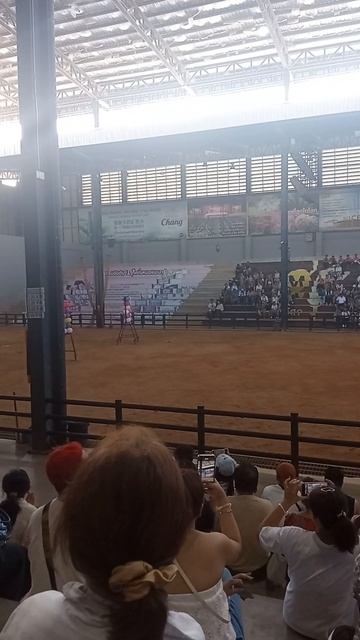 Слон знает, где центр мишени 🎯Что скрывает шоу слонов в Nong Nooch? смотреть онлайн