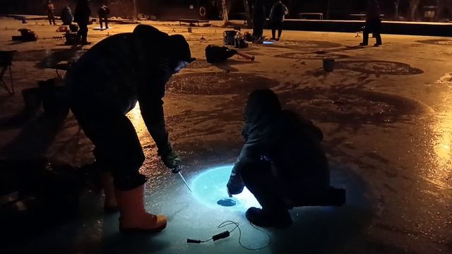 Поимка форели. Сезон 2025/2026.