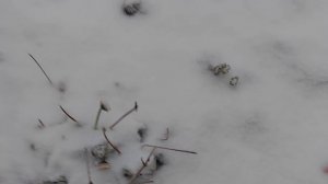 Наши 8,4 сотки.В снегу❄️❄️❄️