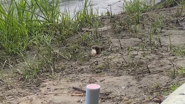 27 июля 2024 г. смотреть онлайн