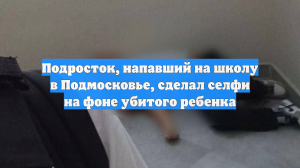 Подросток, напавший на школу в Подмосковье, сделал селфи на фоне убитого ребенка