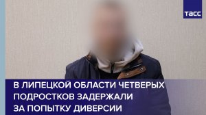 В Липецкой области четверых подростков задержали за попытку диверсии