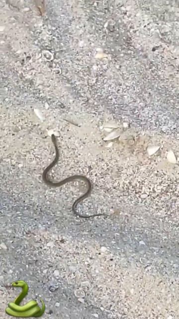 30 июля 2024 г. смотреть онлайн