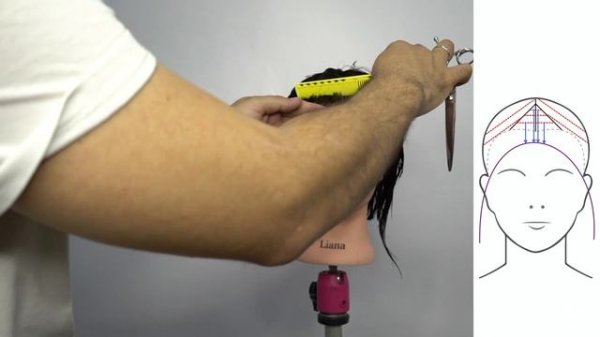 Стрижка женская. Круглая линия. Школа парикмахеров STRIGA™