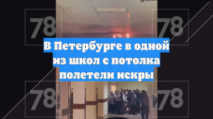 В Мурино в школе из-за LED-лампы вспыхнул потолок