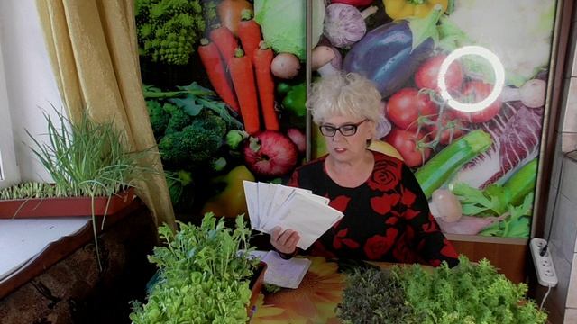 Отчет по рассылке семян томатов 15 декабря 2025 года. смотреть онлайн