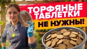 ПОСЕВ ЭУСТОМЫ В ЗЕМЛЮ БЕЗ ТАБЛЕТОК