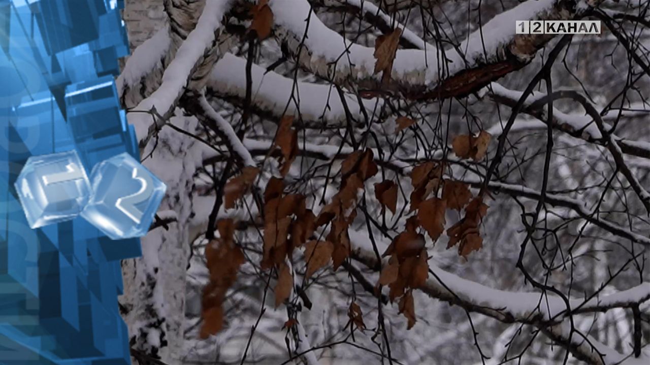 В предстоящую неделю, в Кузбассе ожидается максимальная температура -1°С, а минимальная -21°С смотреть онлайн