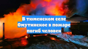 В тюменском селе Омутинское в пожаре погиб человек