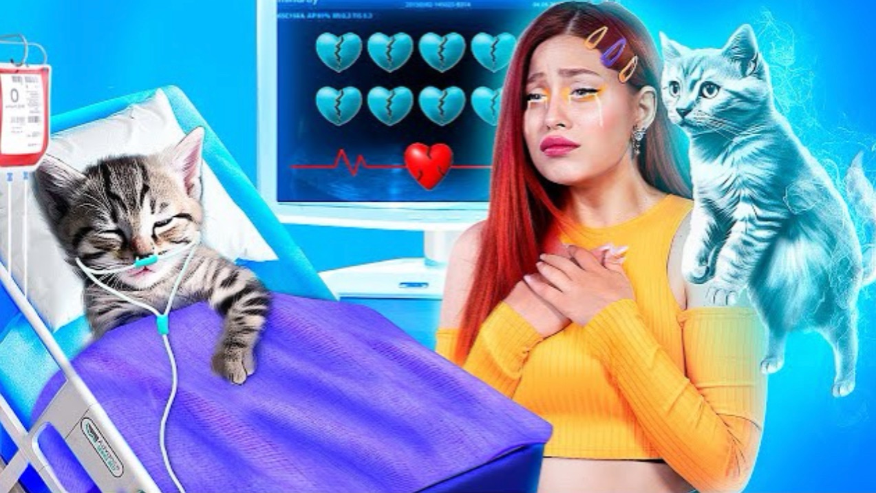 Мы спасли бездомного котенка смотреть онлайн