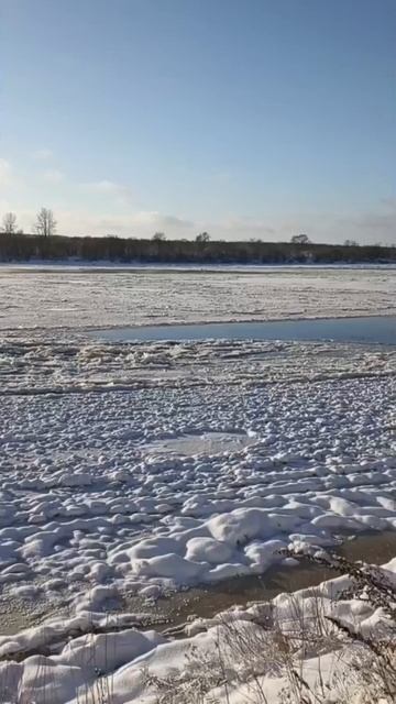 Река Вятка покрылась льдом. Полыньи на реке. 14.12.2025 года.