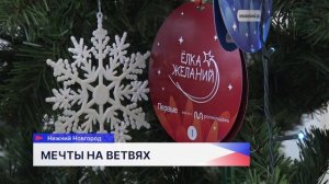 Стартовал прием заявок для участия в акции «Елка желаний. Мой бизнес помогает-52»