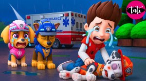 Щенячий патруль и Маршалл. Залипательное видео. Мультфильм для детей и малышей. Анимация