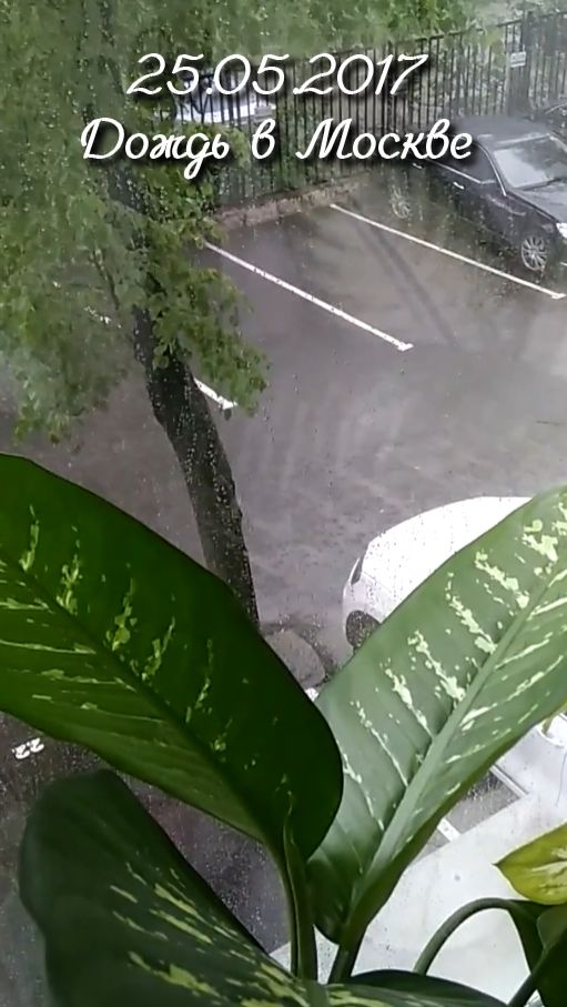 25.05.2017 Дождь в Москве